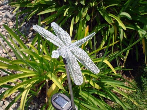 Solar Garden Stake Lights with Color Changing LED or Regular White LED Landscape Path Lights (Set of 2) (Dragonfly) Ntertainment+House