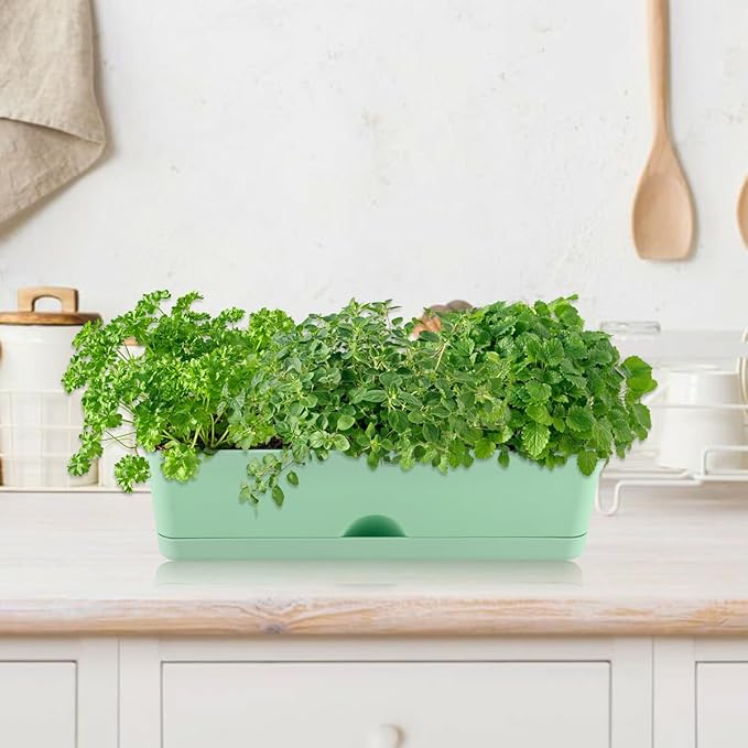 6 Pack Rectangle Planter 16x4.4 Inch Window Boxes Planters Rectangular Large Window Sill Planters Indoor Self Watering Plant Pots with Drainage Holes and Saucers Succulent Herb Flower Pots, Green KvyusFlourish