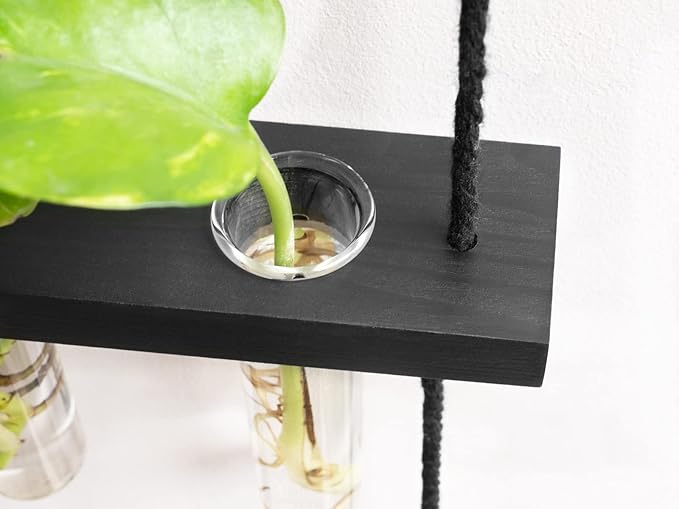 Mkono 3 Tiered Wall Hanging Plant Terrarium with Wooden Stand Mini Test Tube Flower Vase Glass Planter for Hydroponic Plant Cutting Home Garden Office Decor Gift Mkono