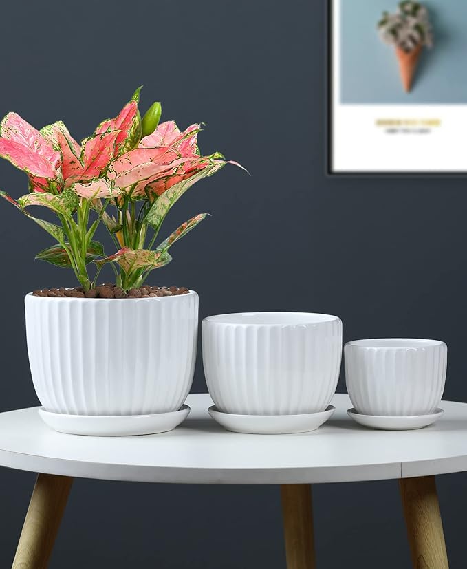 Ton Sin White Plant Pots Set of 3,Indoor Ceramic Flower Pot with Saucers,6.7"&5.5"&3.9" Inch Small to Medium Sized Planters for Plants,Round Modern Garden Pots TonSin