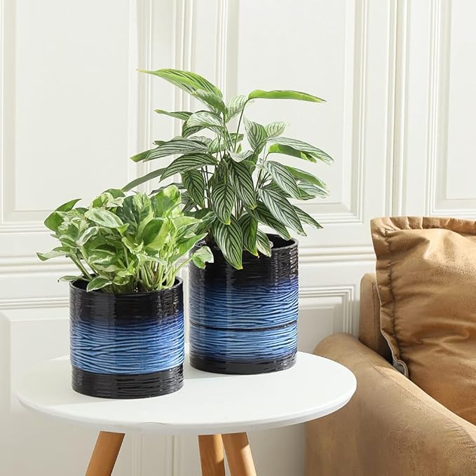 Nihow Ceramic Plant Pot: 6 Inch Planter with Drainage Hole & Saucer for Indoor & Outdoor Plants - Cylinder Round Flower Pot for Succulent/Herbs/Violets - Black & Vivid Blue Nihow