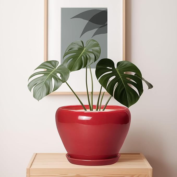 10 Inch Plant Pot - Ceramic Planter for Indoor Outdoor Plants, Glaze Modern Round Planter with Drainage Hole and Saucer, Gifts for Plant Lovers, Home Room Garden Decor, Red Ceramicfor