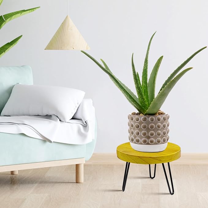 Plant Stand Indoor Outdoor Wood Mid Century Plant Stand for Indoor Plants, Modern Plant Table Round Plant Stool, Boho Rustic Wooden Stool for Plant Pot Hol (L) Welcometoobtain