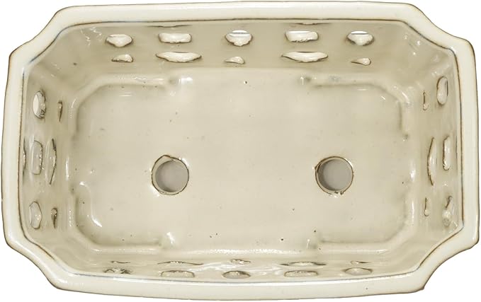 W&W Orchid Pot with Holes and Saucer for Repotting, Cream White, 9.7 Inch WWHomeDecor