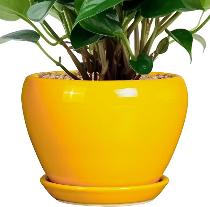 Ceramic Pot for Plants - 6 Inch Plant Pot Glaze Modern Decorative Round Planter with Drainage Hole and Saucer for Home Patio Room Office House Decor, Yellow Ceramicfor