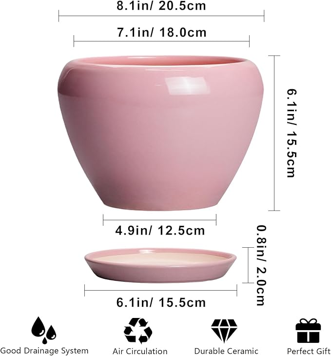 Ceramic Modern Glaze Succulent Planter Pot with Drainage Hole and Saucer 8 Inch Round Flower Plant Pot for Indoor Outdoor Herb Snake Plants, Pink Ceramicfor