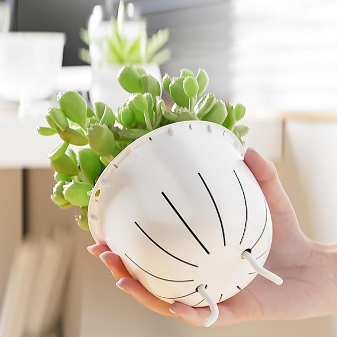 2 Pack 4 inch Self Watering Plants Pots Planters for Indoor Plants, African Violets Pots with Drainage Holes and Tray, Modern Plastic Flower Nursery Pots for Succulents,Herbs,Cactus XKYQSY
