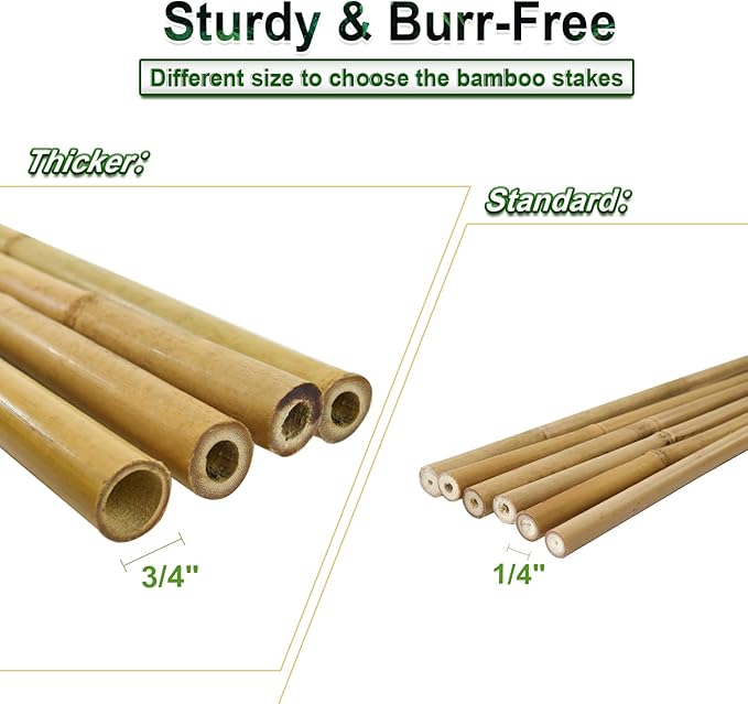 15pcs 3/4" D Thicker Heavy Duty Bamboo Stakes, 7FT Plant Stakes, Natural Garden Stakes for Tomato, Bean, Flowers,Trees Potted and Climbing Plant Support Jollybower