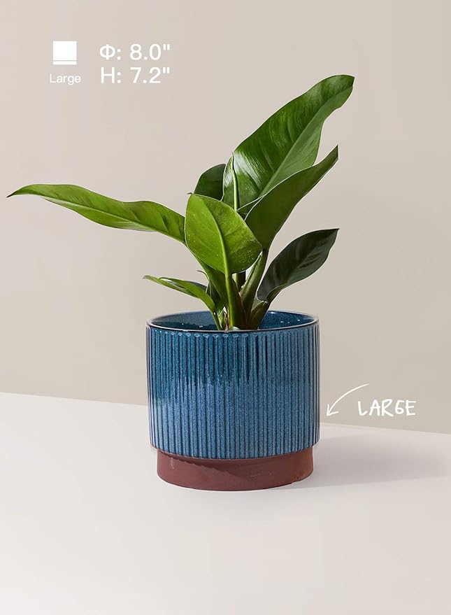 LE TAUCI Ceramic Pots for Plants, 8+6.7+5.5 Inch Plant Pots Indoor, Flower Pot with Drainage Holes, Medium Cylinder Planters for Indoor House Plants, Set of 3, Blue LETAUCI