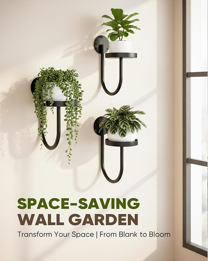 Wall Plant Holder – Hanging Planters for Indoor, Window Planter Shelves & Hanger, Indoor Wall Planters, Modern Plant Decor, Black (3 Pack) Rootora