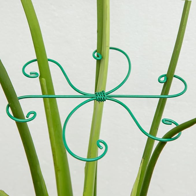 Monstera Plant Stem Support 5 Pcs - 7.5” Indoor Plant Stabilizer Holder for Monstera & Climbing Plants - Durable, Lightweight, Easy to Use for Optimal Growth & Stability - Home Décor Friendly Yohsnor