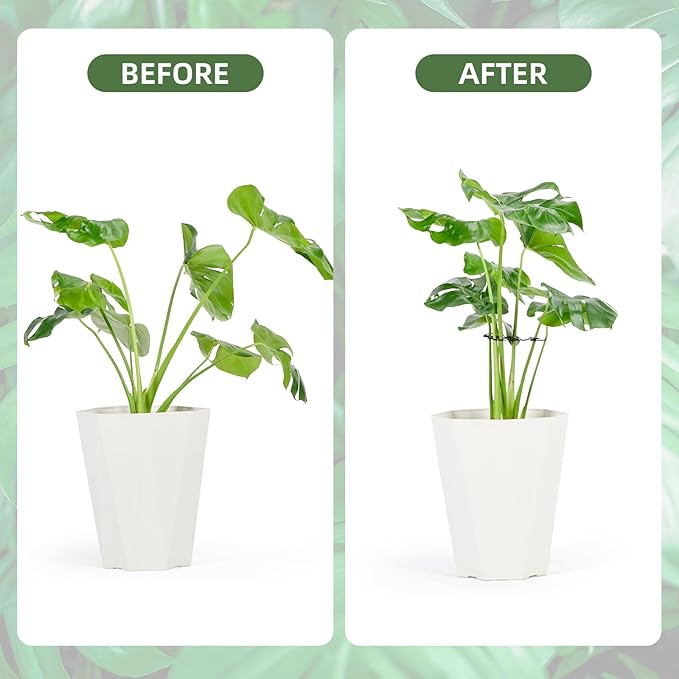 6PCS Iron Monstera Plant Support, Uniquely Designed Indoor Plant Accessories, Stable Plant Support Stakes for Indoor Plant, Turtle Shell Bamboo Clamp Set for Thriving Growth Rootora