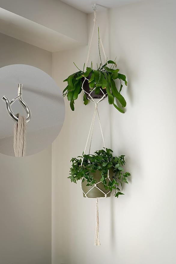 PlusRoc 20 Pack Ceiling Hooks for Hanging Plants Outdoor String Lights Heavy Duty, 2.2 Inch Eye Hook Screw in Cup Hooks Q-Hanger for Patio Lights, Wall Wood Fence Deck Mount(Stainless Steel, Silver) PlusRoc