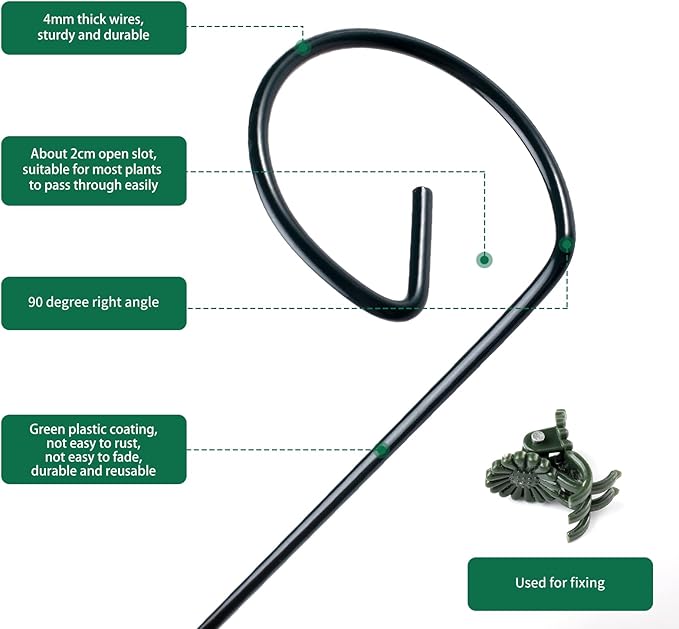 12 Pack Plant Support Stakes with 24 Pcs Plant Clips, Garden Single Stem Support Stake, Plant Cage Support Ring for Indoor Outdoor Flowers Rose Amaryllis Tomatoes Peony Lily Orchid (16 Inch) Auaok