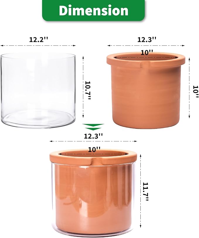 Phoenix Vine 10 Inch Self Watering Planter, White Terracotta Pot for Plants, Indoor Cylinder Terra Cotta Pot with Glass Vase Phoenix+Vine