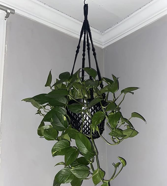 43 Inches Macrame Planter Hanger Large for 12 inch Pot + Swag Hook (Extra Long & Big) | Large Hanging Planter for Indoor Plants | No Tassel, Cotton Rope, NO Pot/Plant Included (Black)(XL) Shineloha