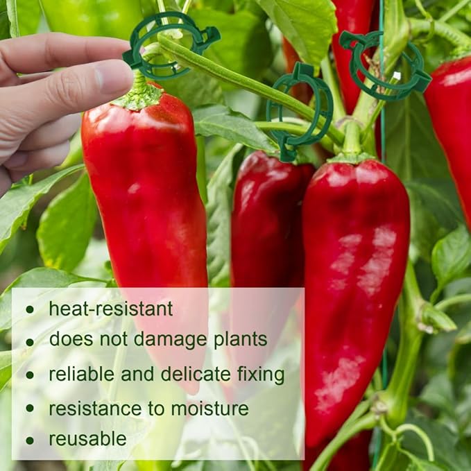 200 Pcs Plant Support Tomato Clips, Garden Clips, Crop Clips for Vine Vegetables, Fixing Tomato, Sweet Pepper, Eggplant, Makes Plants Grow Upright and Healthier（Green） PEOUWNES