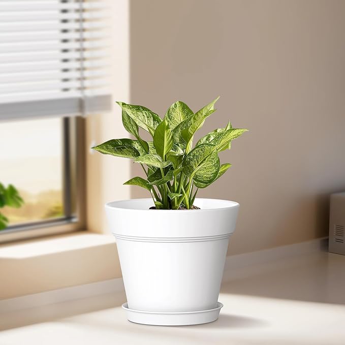 6 Inch Thick Plastic Plant Pots with Drainage Holes and Trays – 6 Pack Nursery Pots for Indoor & Outdoor House Plants, Seedling Starter Planters for Garden Flowers, Colorful WSMKSZ
