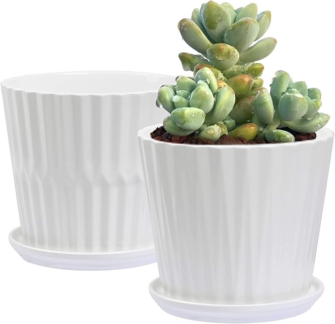 Plant Pots - 6.7 Inch Cylinder Ceramic Planters with Connected Saucer, Pots for Succuelnt and Little Snake Plants, Set of 2, White sietpoek
