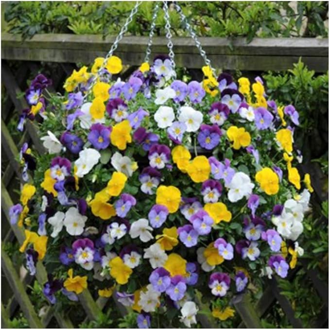 Ultimate Hanging Baskets - Strawberry, Tomato, Flower, and Herb Outdoor Planters - Use Garden Pots for Growing Plants Outside On A Deck, Fence, or Balcony (2) SmartSpring