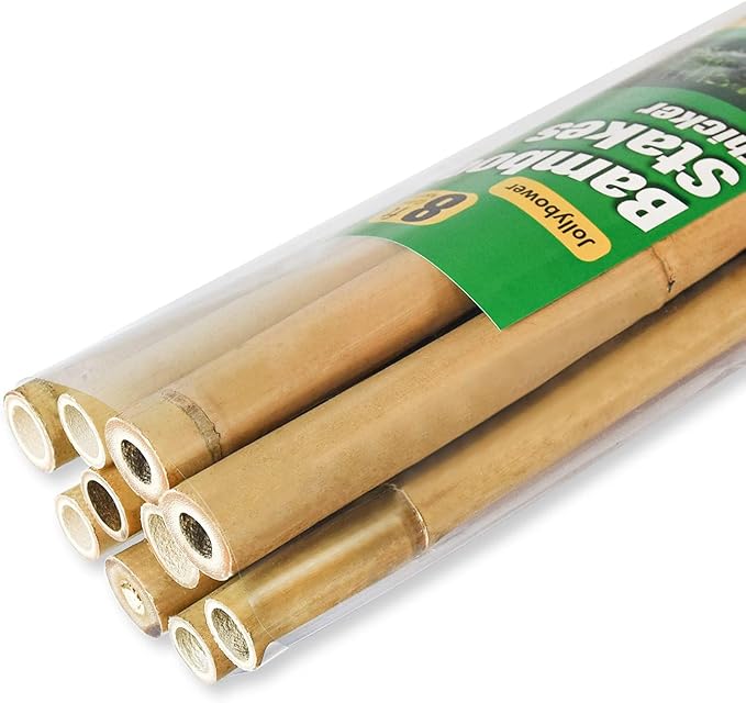 10pcs 1" D Thicker Heavy Duty Bamboo Stakes, 8FT Plant Stakes, Natural Garden Stakes for Tomato, Bean, Flowers,Trees Potted and Climbing Plant Support Jollybower