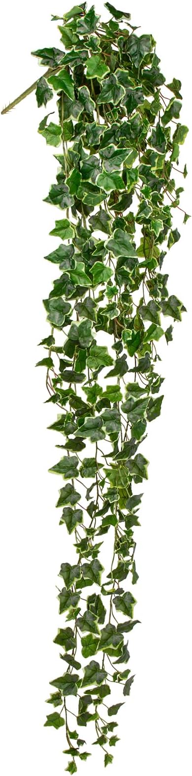 Hollyone Artificial Hanging Plants 6FT Fake Ivy Vine Faux Ivy Leaves Hanging Plant Greenery for Wall House Room Patio Indoor Outdoor Home Shelf Office Wedding Decor Hollyone