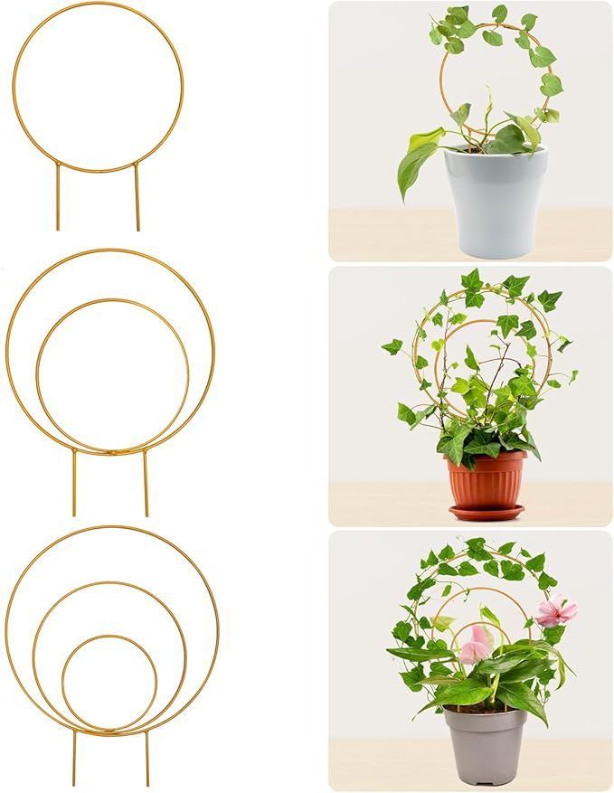 Unique Round Hoya Trellis, 3 Pcs Different Small Houseplant Trellis for Indoor Climbing Plant, Garden Trellis Plant Support for Potted Ivy and Flowers Outdoor(Gold) Rootora