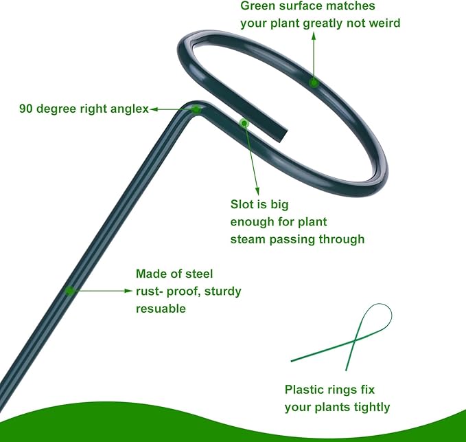 2 Pack (DIY) Plant Support Stakes, Three Sizes (12 or 24 or 36 inch) Plant Support Rings with 20 Pcs Plant Twist Ties, Garden Stake for Indoor Outdoor Plant Flowers, Amaryllis, Tomatoes Numyew