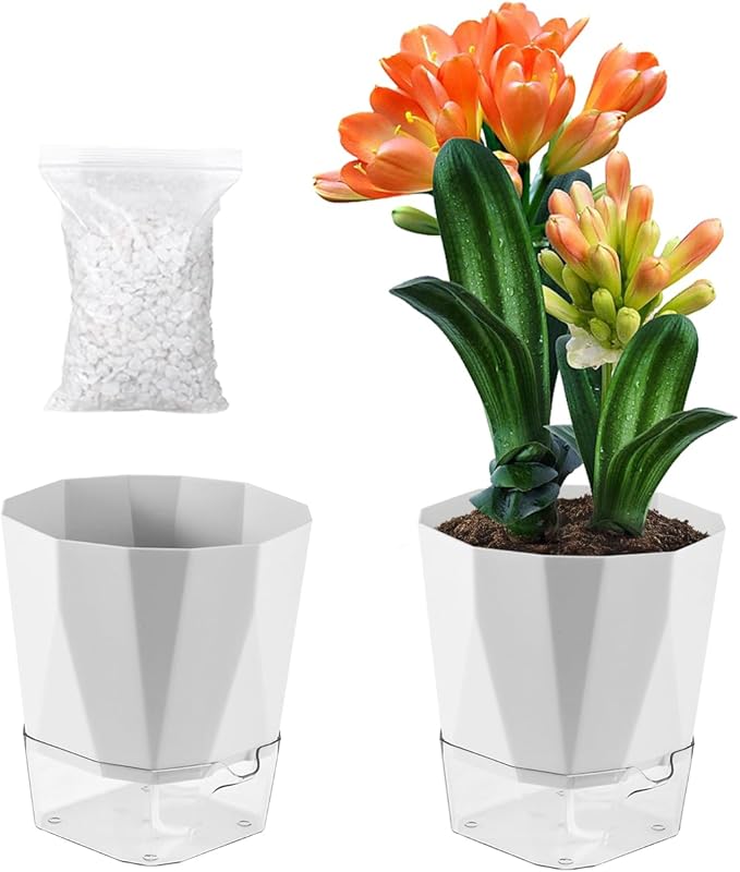 2 Pack Self Watering Pots for Plants, 8.4" Self Watering Planters Large African Violet Self Watering Clear Pots for Plants Large Herb Orchid Flower Houseplant Pots, Light Grey Planterhoma