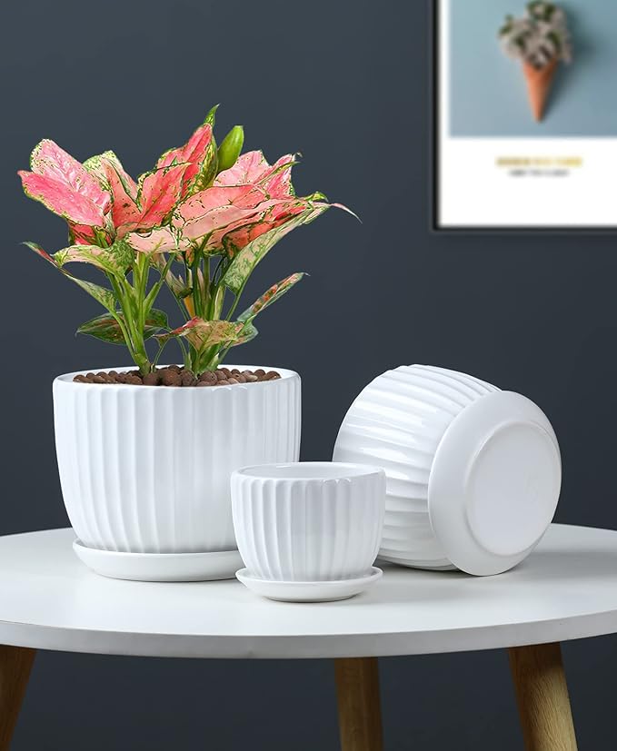 Ton Sin White Plant Pots Set of 3,Indoor Ceramic Flower Pot with Saucers,6.7"&5.5"&3.9" Inch Small to Medium Sized Planters for Plants,Round Modern Garden Pots TonSin
