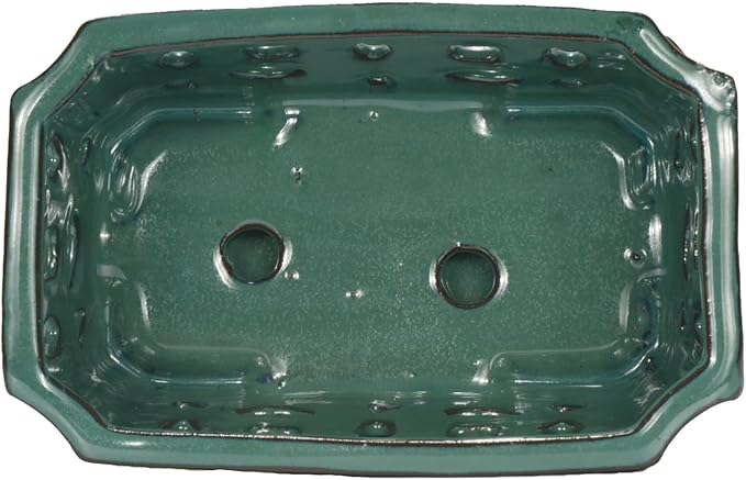W&W Orchid Pot with Holes and Saucer for Repotting, Green, 9.7 Inches WWHomeDecor