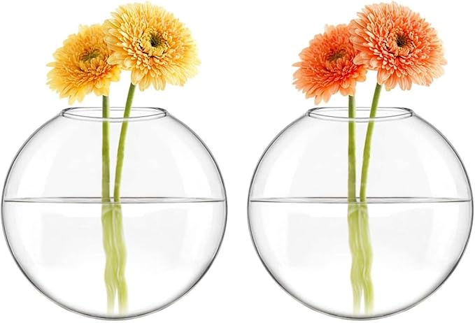 Mkono Wall Hanging Glass Terrariums Planter Oblate Flower Vase for Hydroponics Plants, Bathroom, Home Office Living Room Decor, Set of 6 Mkono