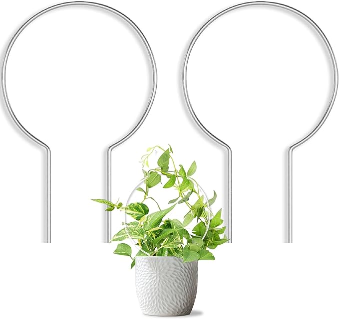 2 Pack Round Plant Trellis for Potted Plants Indoor Outdoor, Acrylic Small Trellis for Climbing Plants, Plant Support for Hoya Pothos Vine Ivy Monstera Flower Philodendrons Dischidia Rootora