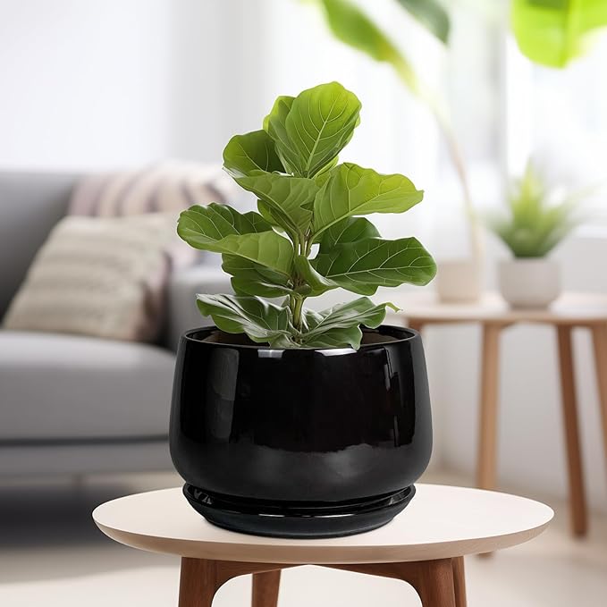 G EPGardening Ceramic Plant Pots - 9 Inch Round Planter, Ceramic Pots for Plants with Drainage and Tray, Flower Indoor Outdoor Planter, Modern Desk Decor, Plant Lover Gifts, Black GEPGardening