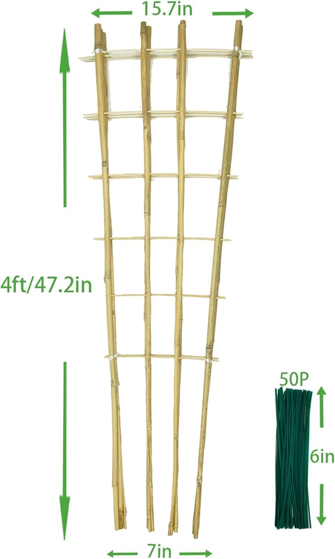 Natural Bamboo Trellis, 4Feet,3Pack,Fan-Shaped Plant Support Trellis for Outdoor and Indoor Potted Climbing Plants,Vegetables, Cucumber, Tomato, Hoya, GUANGYE