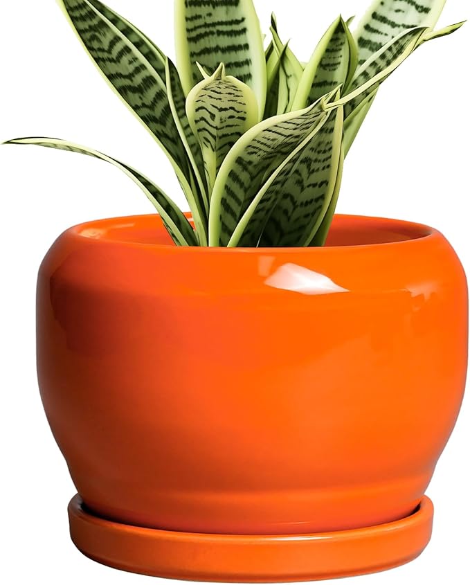 SQOWL Ceramic Plants Pots - 6 Inch Planter Indoor with Drainage Hole and Plant Saucer, Modern Round Planter Outdoor, Decorative Succulent Pot, Home Decor, Housewarming Gifts, Orange SQOWL