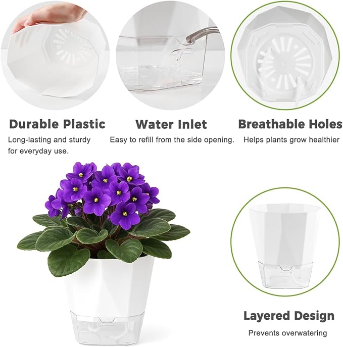 6 Pack Self Watering Plant Pots 6 Inches Self-Watering Planters for Indoor and Outdoor Plants African Violet Succulent Pots Clear Pot for Plants Large Herb Orchid Flower Houseplant Plant, White Planterhoma