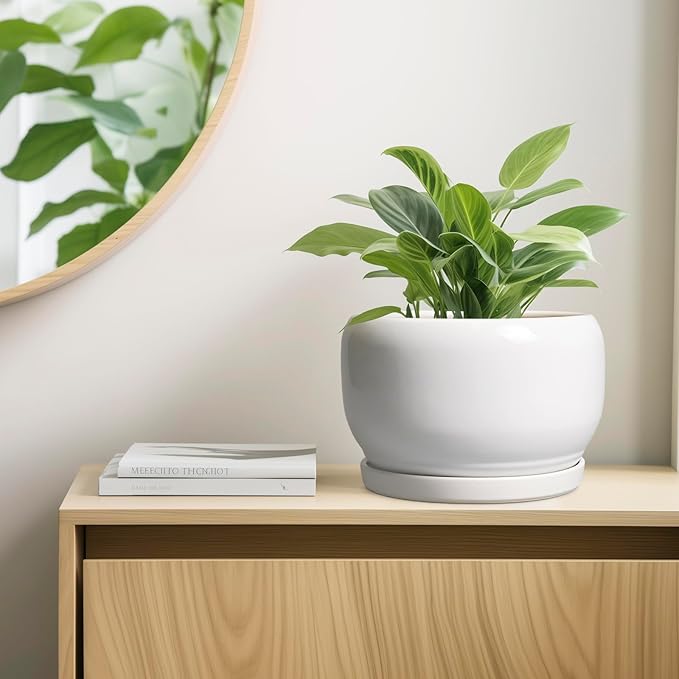 SQOWL Ceramic Pot for Plants - 10 Inch Planter with Drainage Hole and Saucer, Round Ceramic Flower Pot for Indoor Outdoor, Modern Decorative Large Planter, Patio Decor, Gifts for Plant Lovers, White SQOWL
