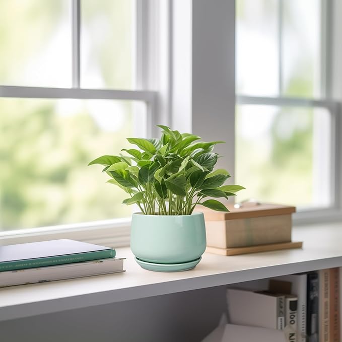 G EPGardening Ceramic Plants Pots - 4 inch Plant Pots Indoor Outdoor, Small Succulent Planter with Drainage Hole & Tray, Modern Flower Pot, Round Decorative Planters, Office Decor, Garden Gift, Green GEPGardening