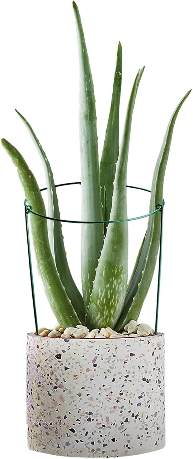 HiGift 3 Pack Peony Cages Support Stakes Ring for Garden, Round Plant Support for Outdoor (10" W x 17" H), Indoor Plant Cages Hoops Plant Rings for Tomatoes,Rose,Astilbes,Vine Indoor Potted Plants HiGift