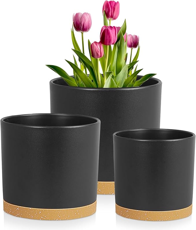 8/7/6 inch Flower Pots, 3 Pack Cylinder Plant Pots for Outdoor Indoor Plants, Decorative Plastic Planters with Drainage Holes and Saucers for Garden House Plants, Black with Brown Meowell