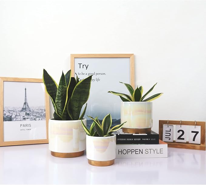 Gepege White Indoor Pots for Plants, Ceramic Planter with Drainage Hole, 6.0 inch+5.0 Inch+4.0 Inch. Succulent Orchid Flower Pot - Rainbow Pearl Glaze Gepege