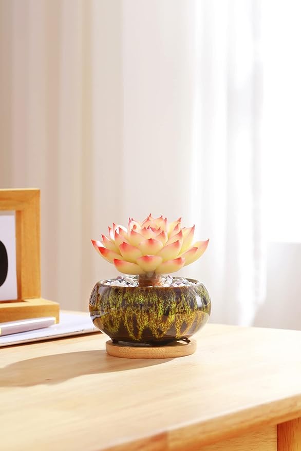 Cute Ceramic Succulent Garden Pots, Planter with Drainage and Attached Saucer, Set of 5 -Plants Not Included (Vivid Colors) LamDawn