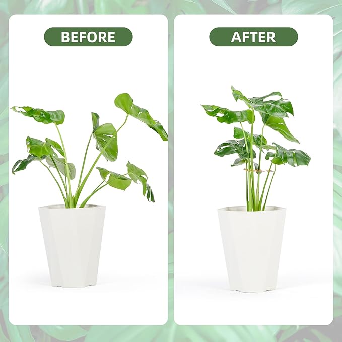 6PCS Iron Monstera Plant Support, Uniquely Designed Indoor Plant Accessories, Stable Plant Support Stakes for Indoor Plant, Turtle Shell Bamboo Clamp Set for Thriving Growth Rootora
