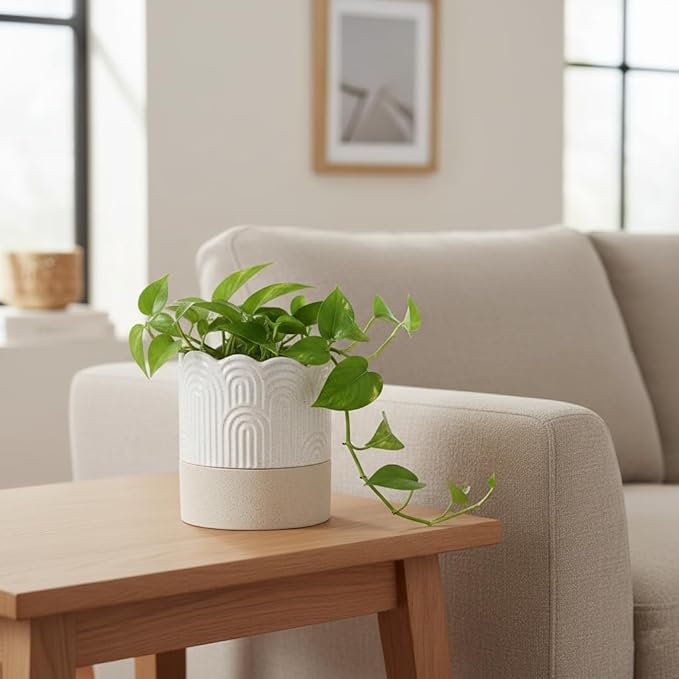 Nihow Self Watering Plant Pot: 4.5 Inch Ceramic Planter with Drainage Hole & Water Storage Plus for Indoor & Outdoor Plants - Cylinder Flower Pot for Herbs/Violets - Beige & Nature Nihow