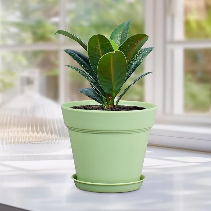 4 inch Small Plastic Nursery Pots,16 Pack Plant Pots for Indoor Outdoor Plants, Flower Pots with Drainage Holes and Saucers, Decorative Seeding Starter Planters for House Plants, Colorful Meowell
