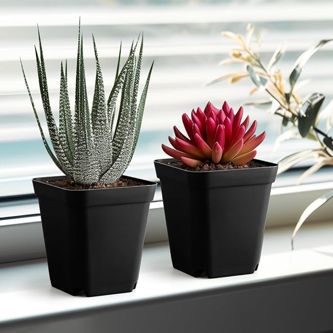80 Pcs Nursery Pots 4 Inch, Plastic Seed Starting Pot with Drainage Holes, Sturdy Seedling pots for Planting, Succulents, Transplanting, Cuttings (Black) BTPLASTIK