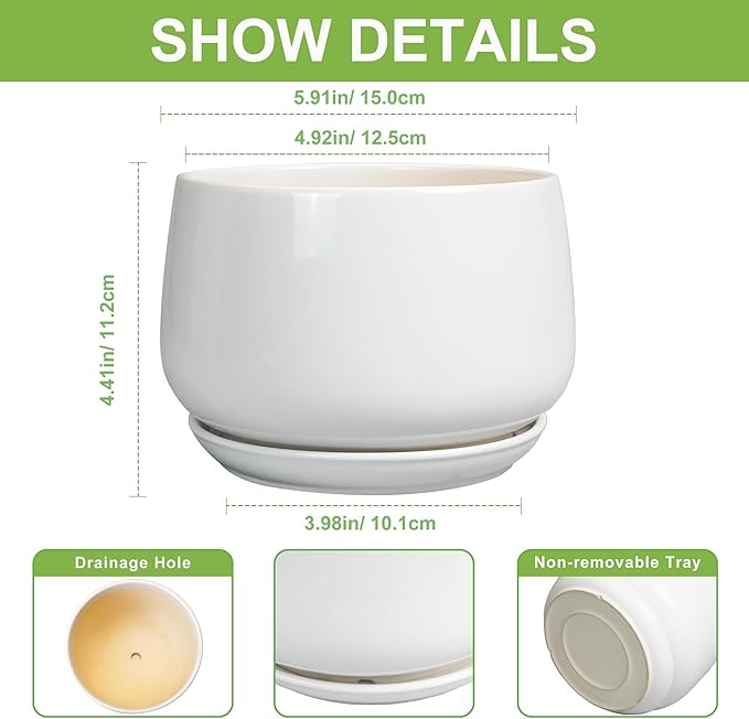 G EPGardening Ceramic Pots for Plants - 6 Inch Planter for Indoor Plants, Flower Pots with Drainage and Ceramic Tray, Modern Office Decor, Gifts for Plant Lovers, White GEPGardening