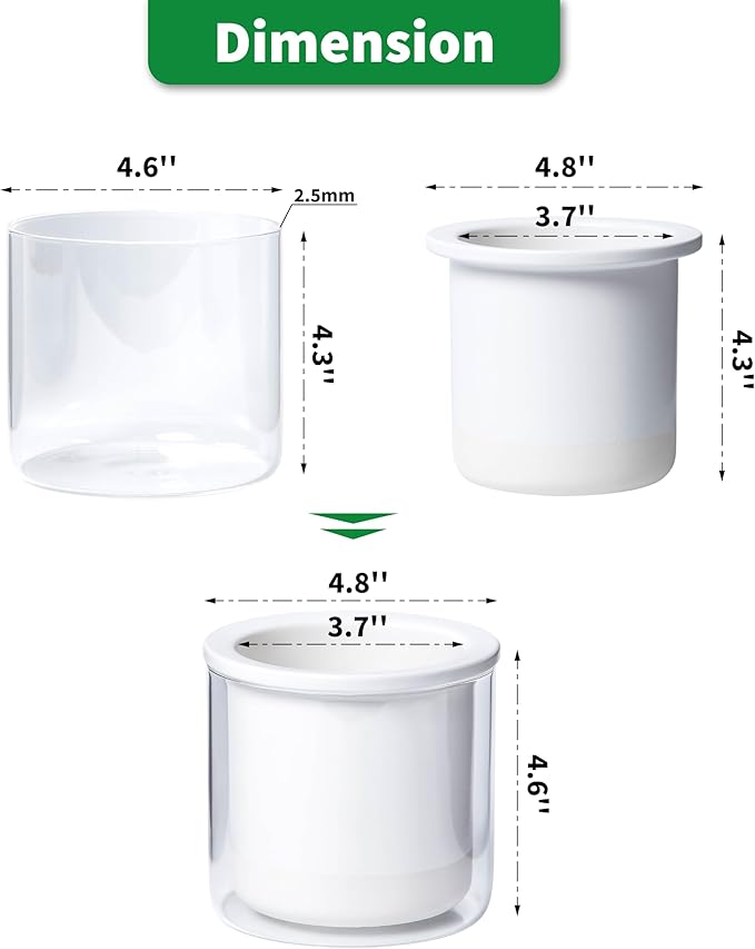 Phoenix Vine 4 Inch Self Watering Planter Pot, Design White Terracotta Pots for Plants, Indoor Cylinder Terra Cotta Pots with Glass Vase, Set of 1, 51-B-E-1 Phoenix+Vine