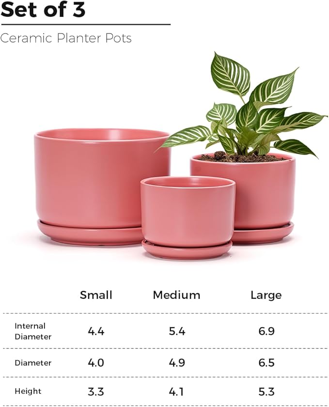 Ton Sin Ceramic Plant Pot with Drainage Hole and Saucer for Indoor Plants, Decorative Round Flower Pot for House Plants, Succulent Orchid Planter(Matte Orange) TonSin